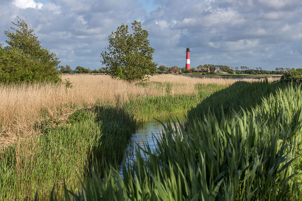 natur-pur